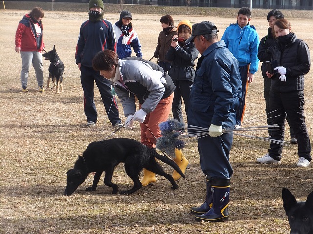 神様 東広島警察犬訓練所 新着情報